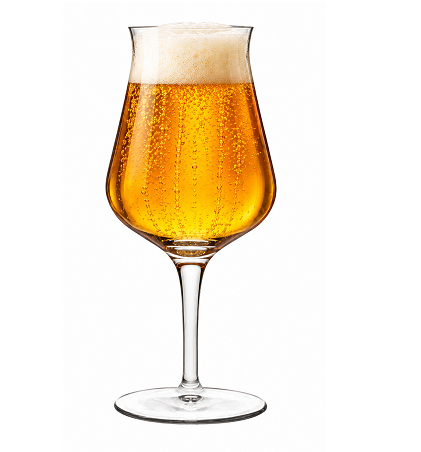 Beer Tulip