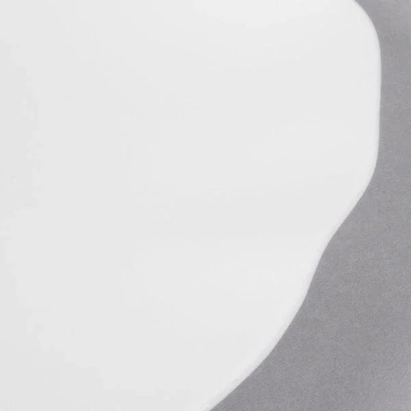 Villeroy & Boch 16-4033-2630 Plate, 10-1/2 in , round, flat, premium bone porcelain, Blossom