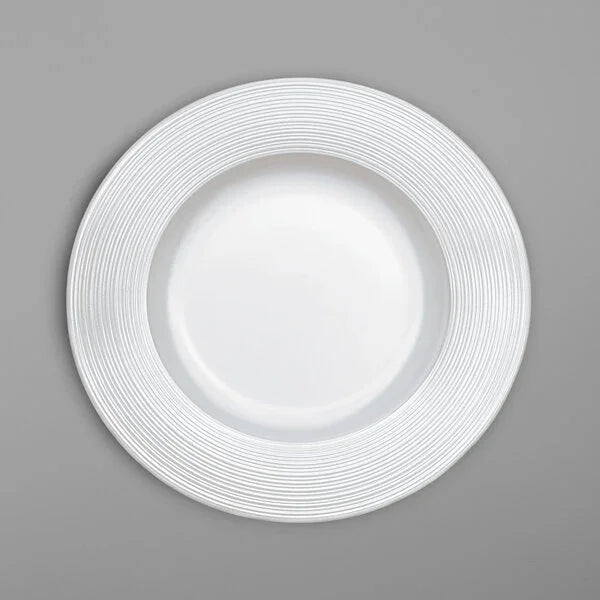 Villeroy & Boch 16-4008-2640 Plate, 9-1/2 in , round, flat, wide rim, dishwasher/microwave/salamander safe, b