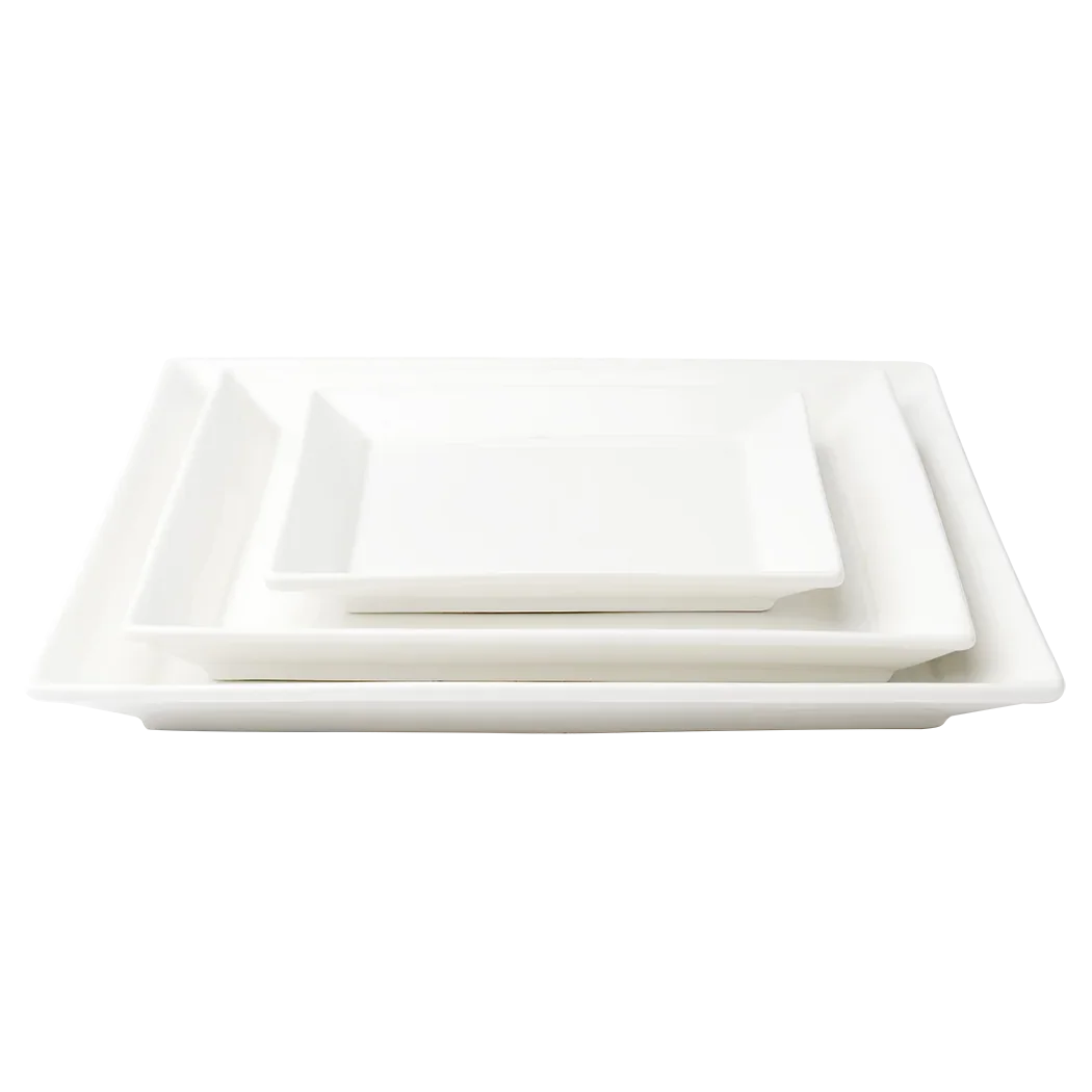 Browne Foundation 10" Square Wide Rim Plate (36/Case) | 5630193