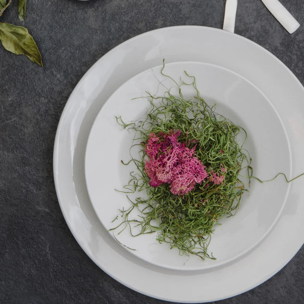 Browne Palm 12" Presentation Plate (12/Case) | 563970