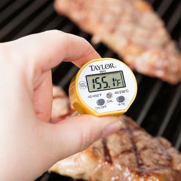 Taylor Waterproof Digital Pocket Probe Thermometer | 9842FDA