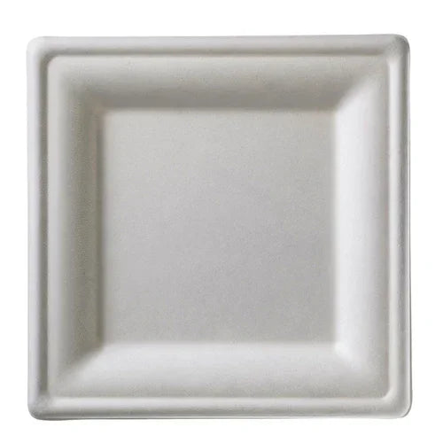 Leone Q2025 Disposable Square Plate 10-1/4 in Biodegradable Option