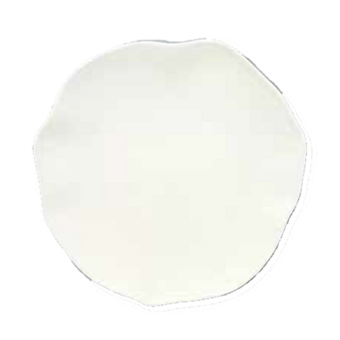 Villeroy Boch 16-4033-2630 Plate, 10-1/2 in , round, flat, premium bone porcelain, Blossom