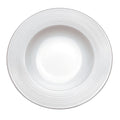 Villeroy Boch 16-4008-2700 Plate, 9-1/2 in , round, deep, dishwasher/microwave/salamander safe, bone china,