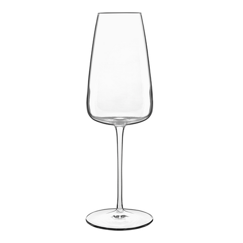 Luigi Bormioli A12735BYL02AA01 Champagne/Prosecco Glass, 13.5 oz., 3-1/8 in  dia. x 9-5/8 in H, dishwasher safe