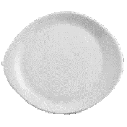 Continental 30PEB233 plate 10 in x 8-1/4 in oven microwave dishwasher safe