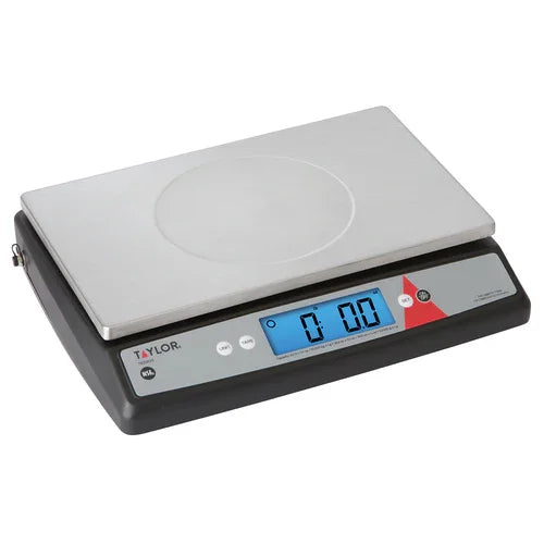 Taylor TE22OS portion control scale, digital, 22 lb x 0.1 oz, 10 kg x 1 g